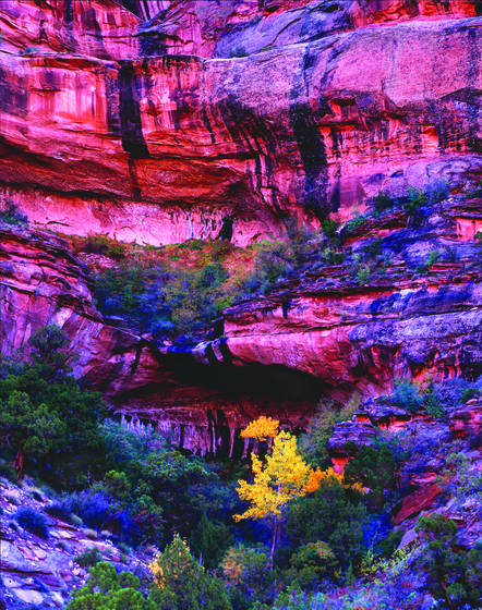 Along_kane_creek_rd_