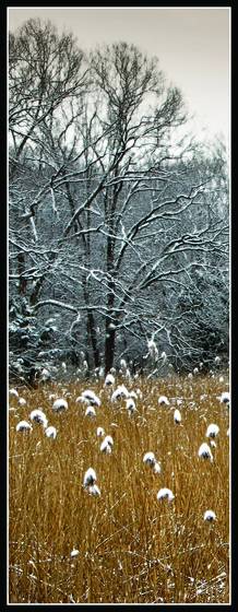 Winter_layers