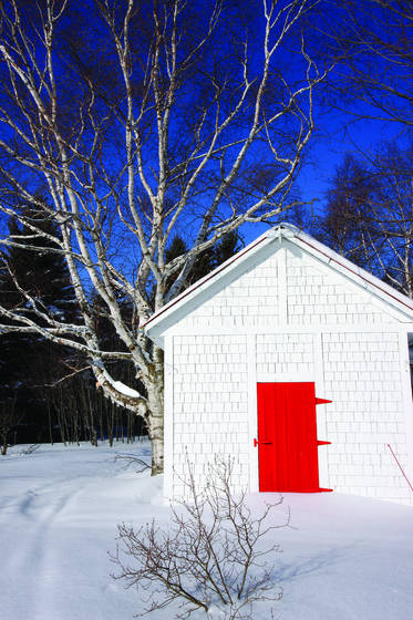 Red_door