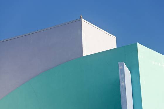 Miami_curves_and_bird