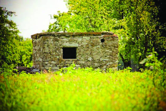 Primitive_home