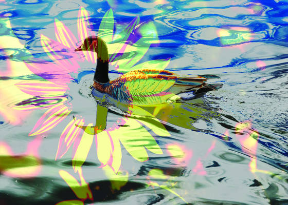 Goose-n-flower
