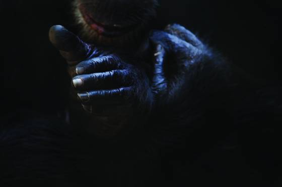 Hands