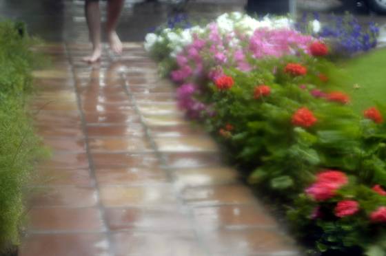 Spring_rain