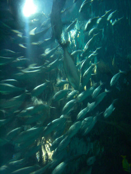 Undersea_tunnel