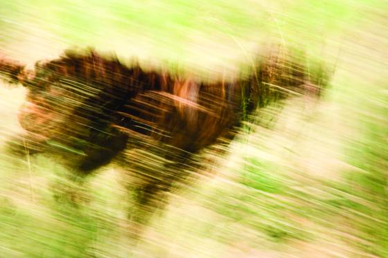Untitled_5