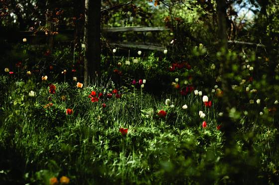 Wellesley_park_2