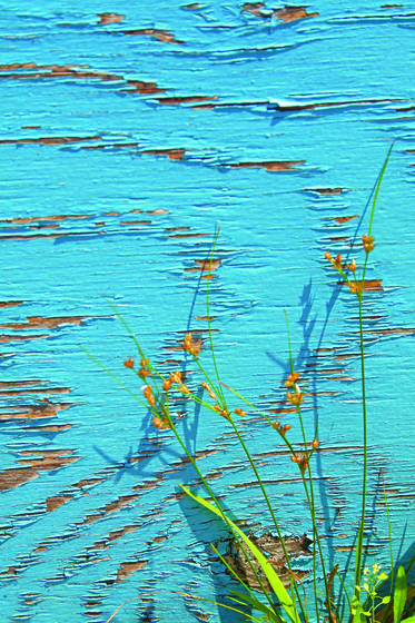 Green_on_blue__1