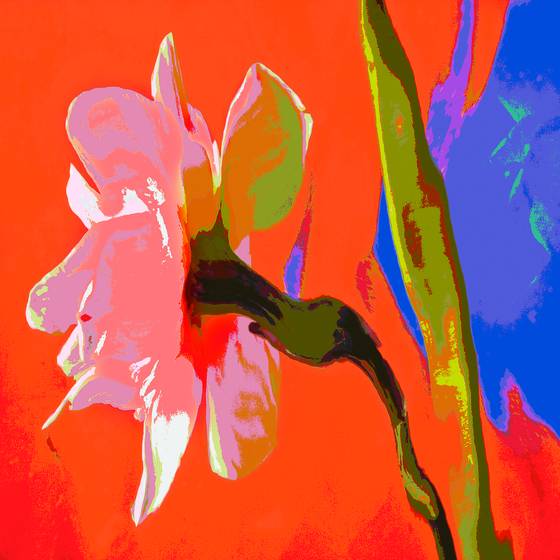 Floral_fantasy_2