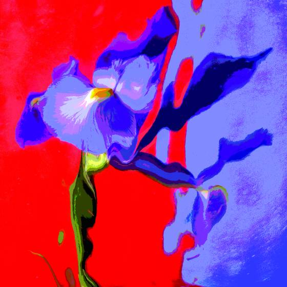 Floral_fantasy_5