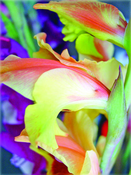 Flowers