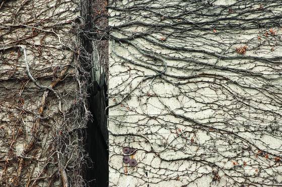 Dissonance_6