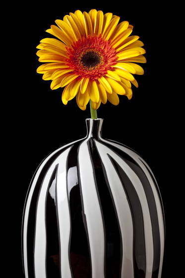 Mum_in_vase