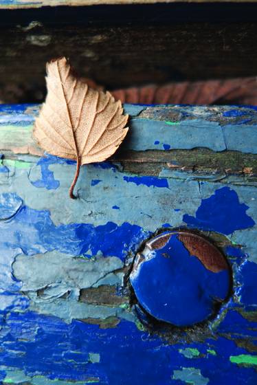 Blue_fall
