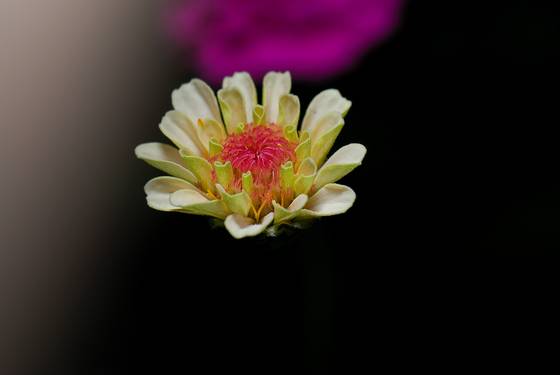 Untitled_4