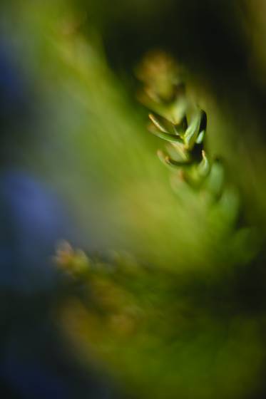 Untitled_2