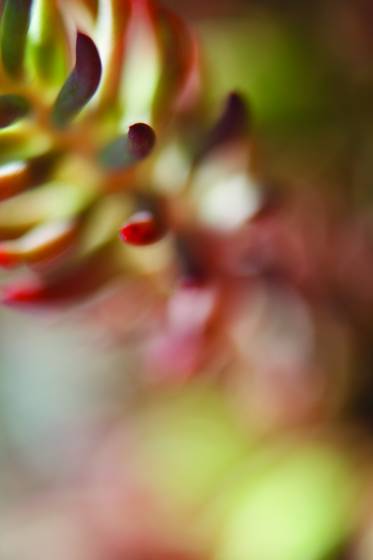 Untitled_4