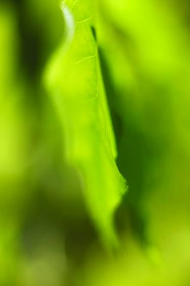 Untitled_5