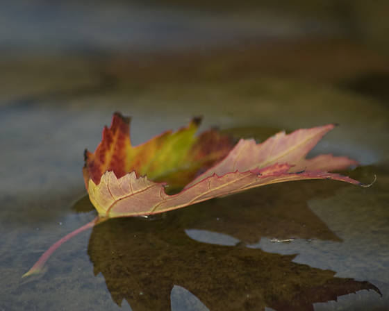 Drifting_away