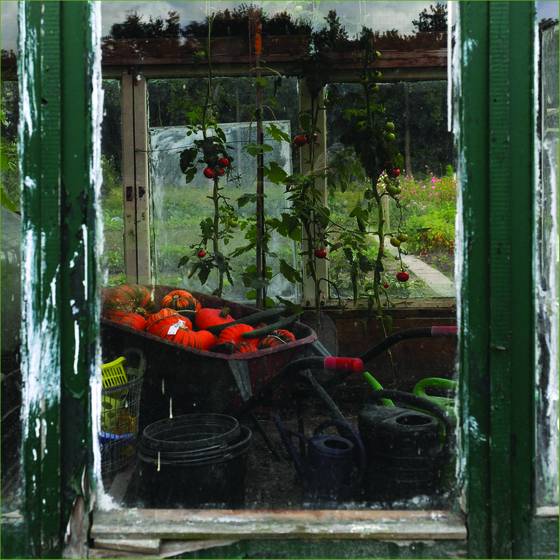 Garden_6