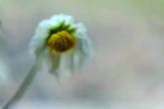 In_mourning