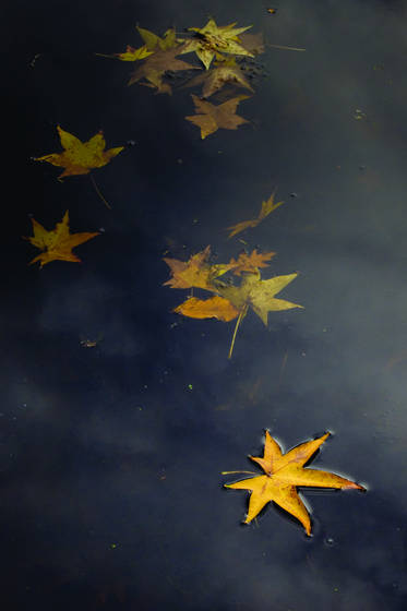 Fall