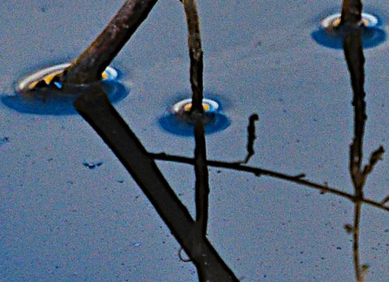 Abstract_water