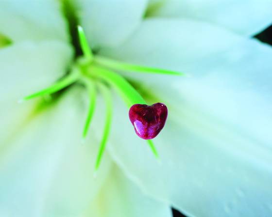 Heart_of_the_matter