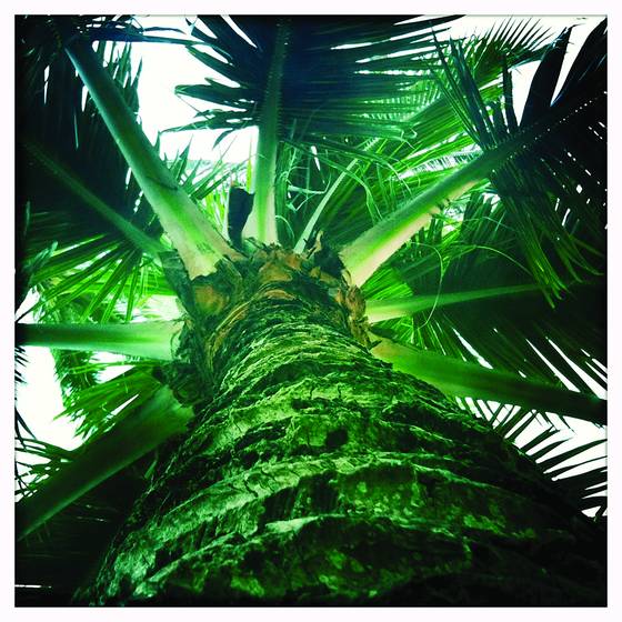 Iphone_2495