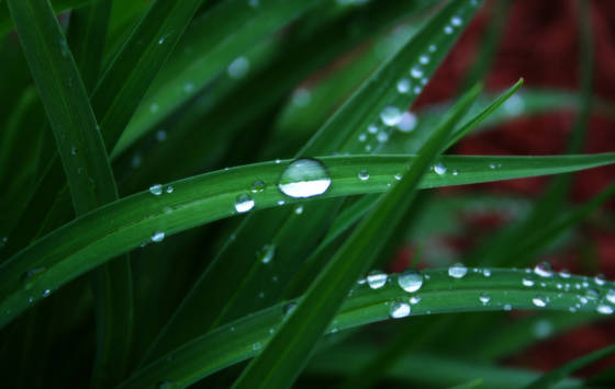 Spring_6