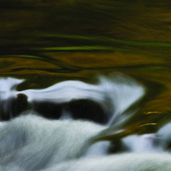 Autumn_falls