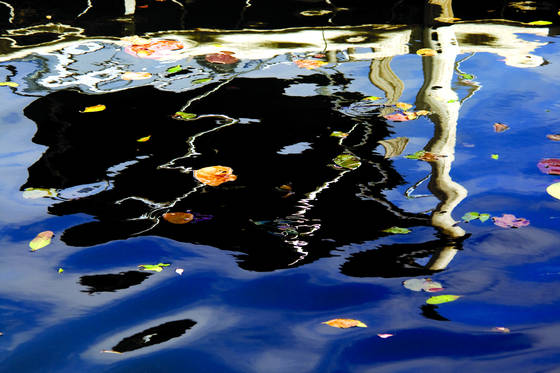 Ripples_abstract_12
