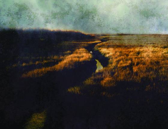 Side_stream