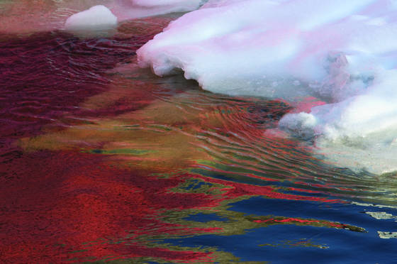 Sunrise_on_icy_water
