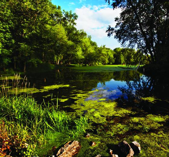 Back_waters