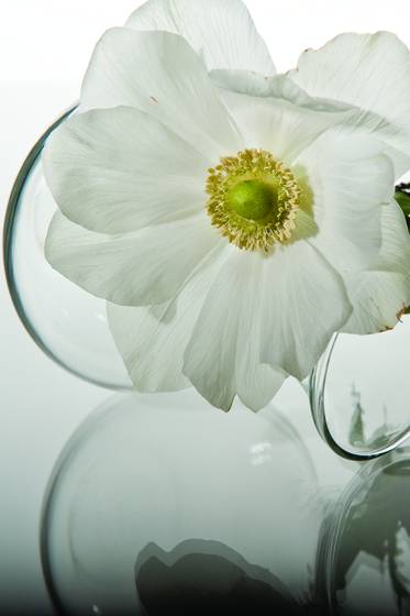 White_reflection