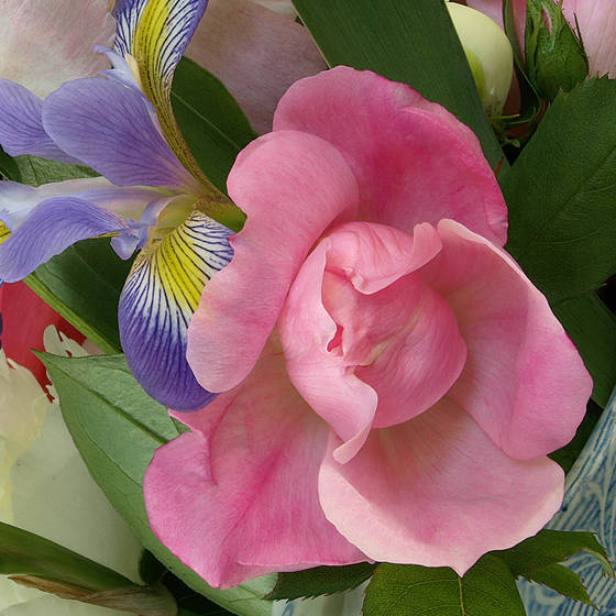 Bouquet_6