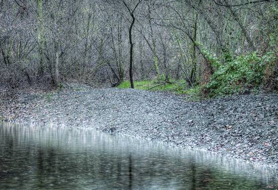 Silver_rain