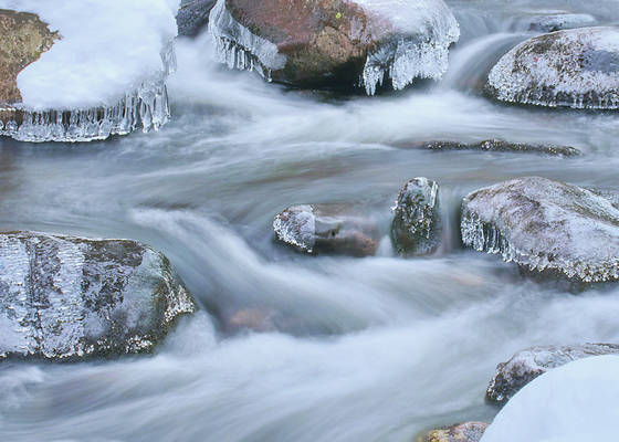 Harriman_sp