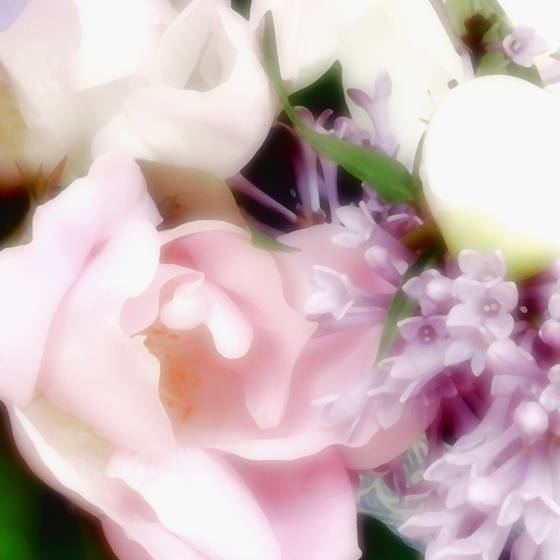Bouquet_iv