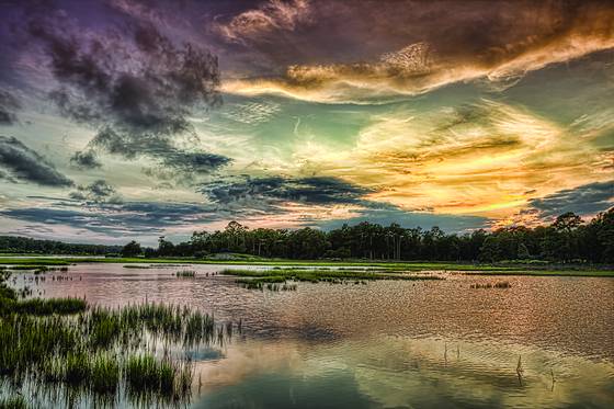 Twilight_in_vereen_gardens