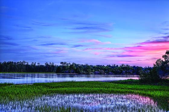 Wetlands_at_dusk