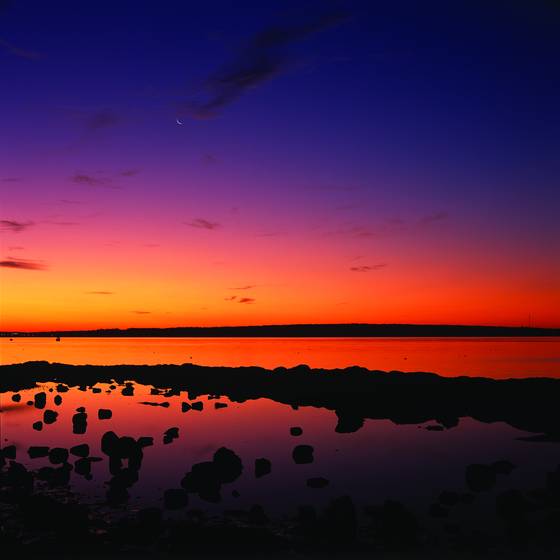 Moose_point