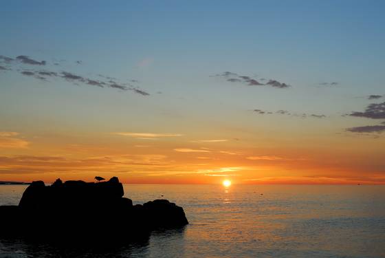 Untitled_6