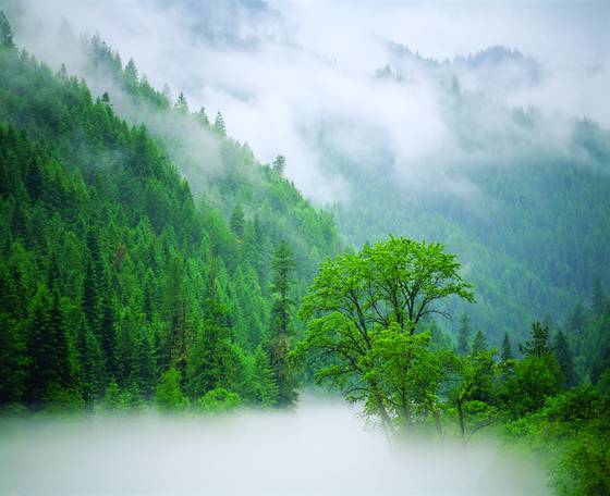 Lochsa_river