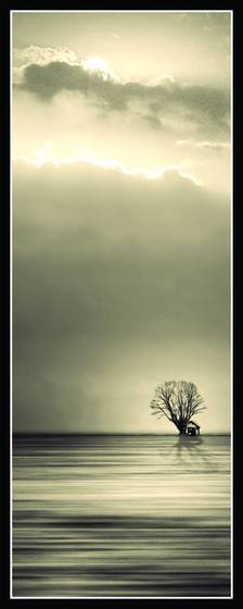 Horizon__1