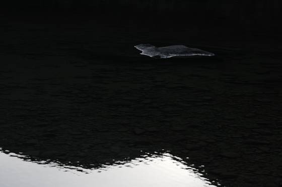 Untitled_5