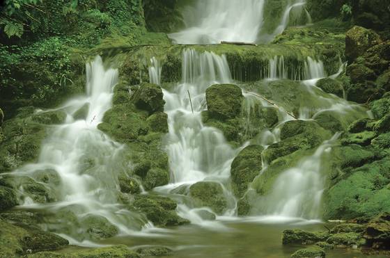 Dickson_falls