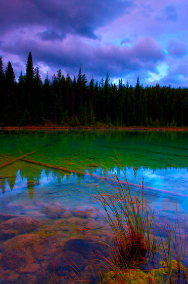 Wildernesslake