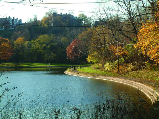 Schenley_park_lake